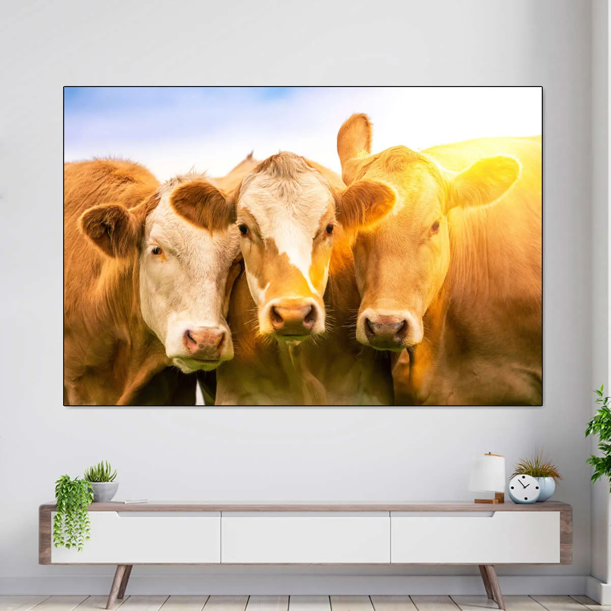 3 Cows Wall Art