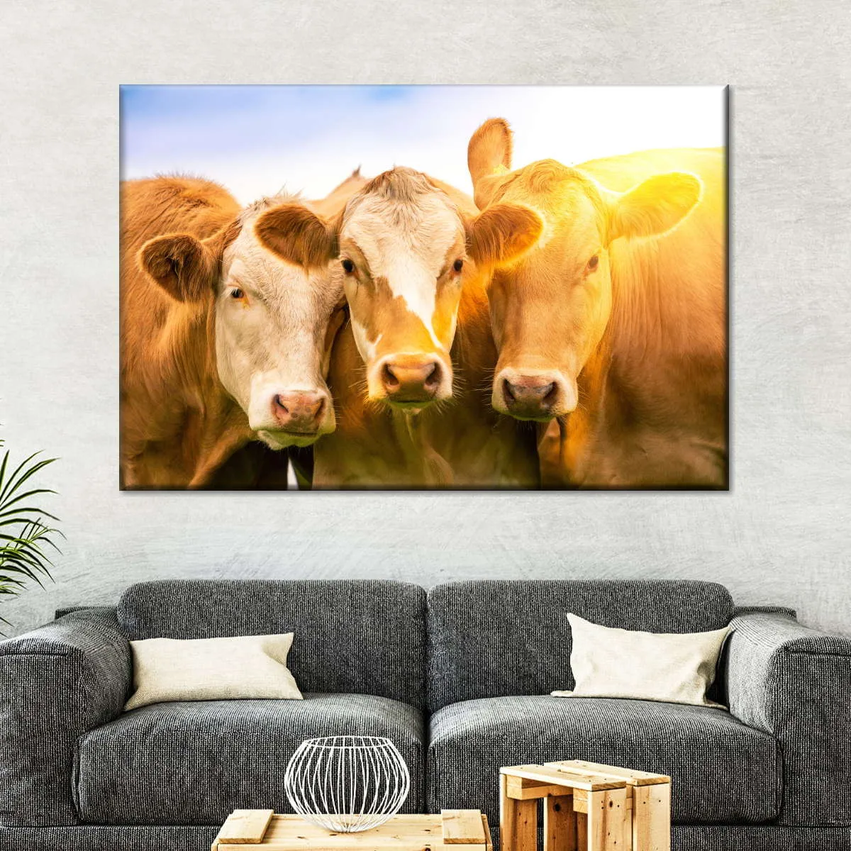 3 Cows Wall Art