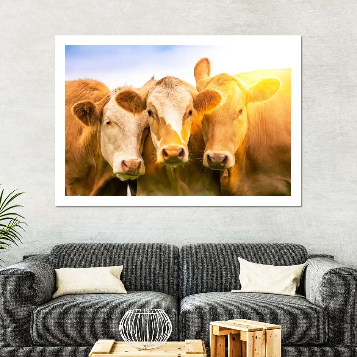 3 Cows Wall Art