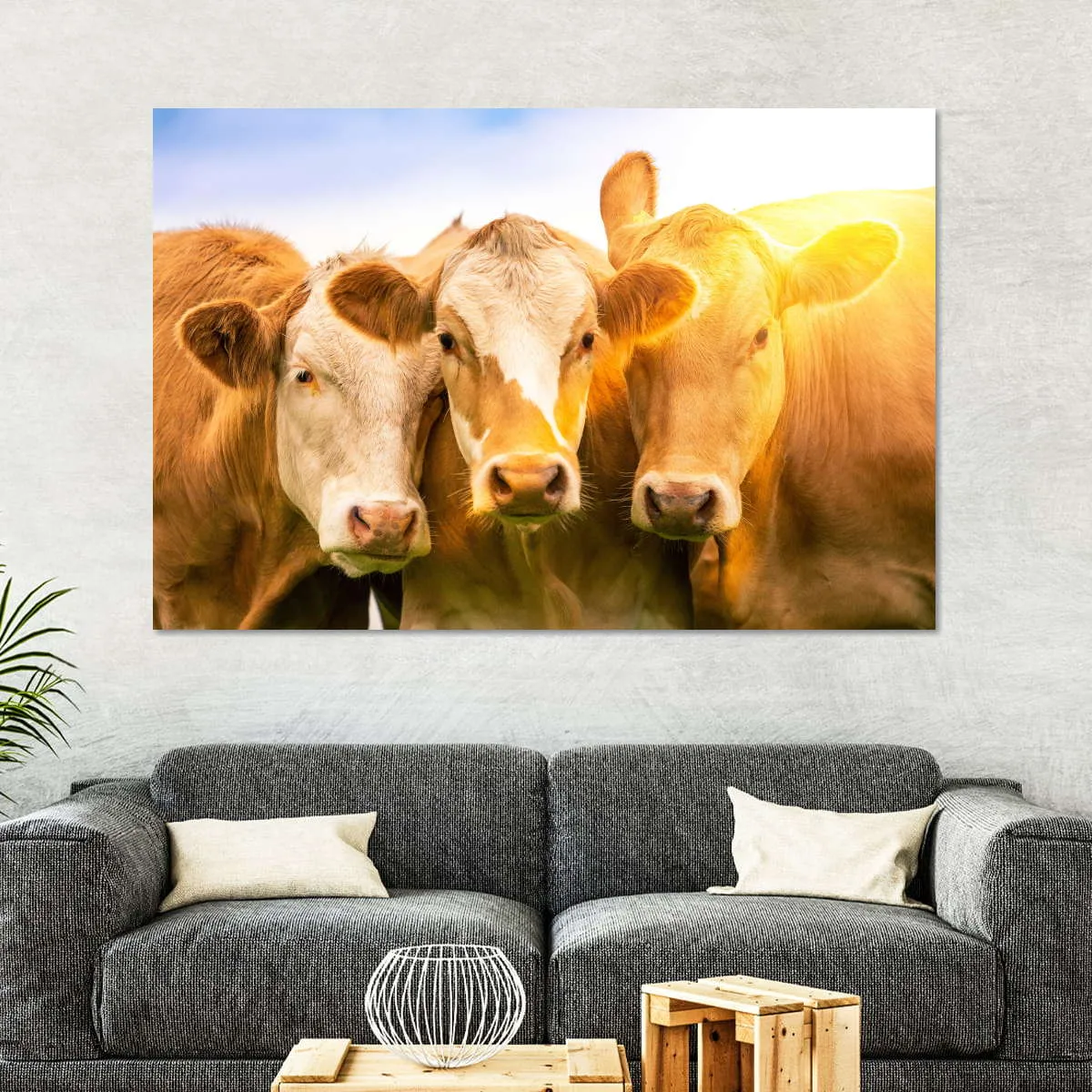 3 Cows Wall Art