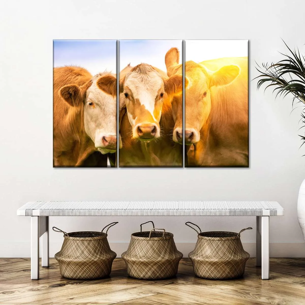 3 Cows Wall Art