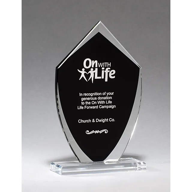 Black Shield Shaped Glass Award