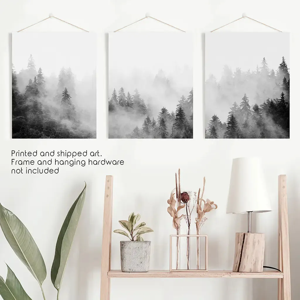 Black White Misty Forest Wall Art Set of 3