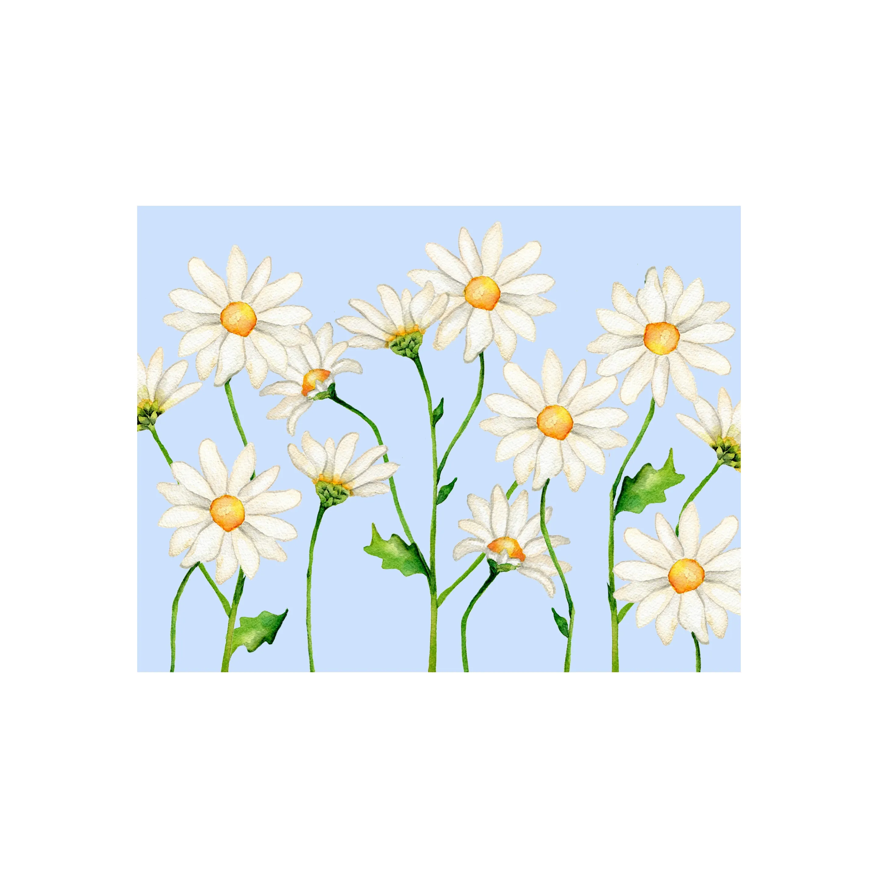 Daisy Note Cards