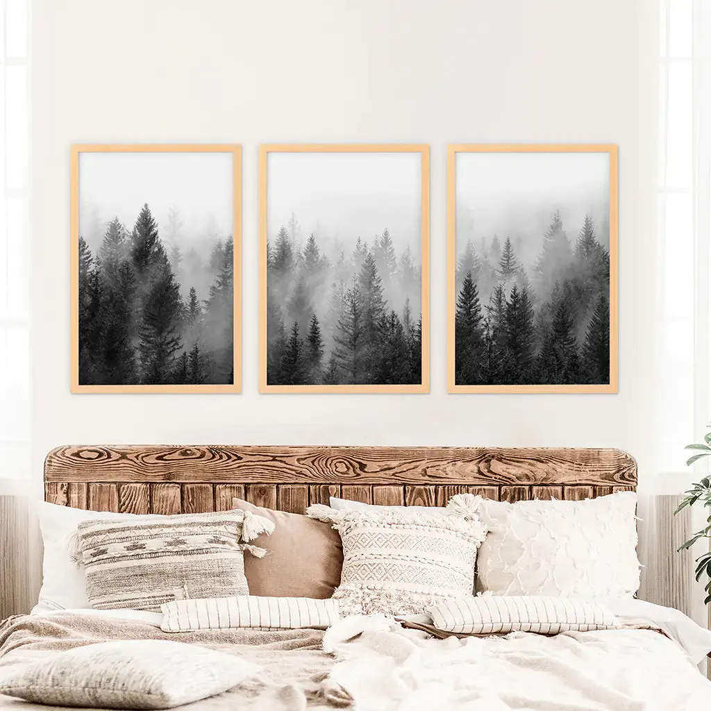 Misty Trees Wall Art. Black White Pine Forest Prints