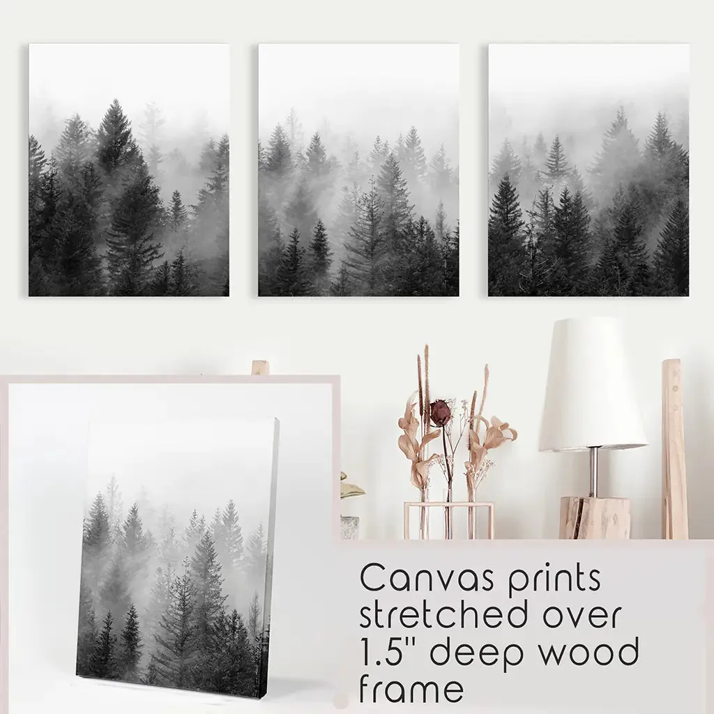 Misty Trees Wall Art. Black White Pine Forest Prints