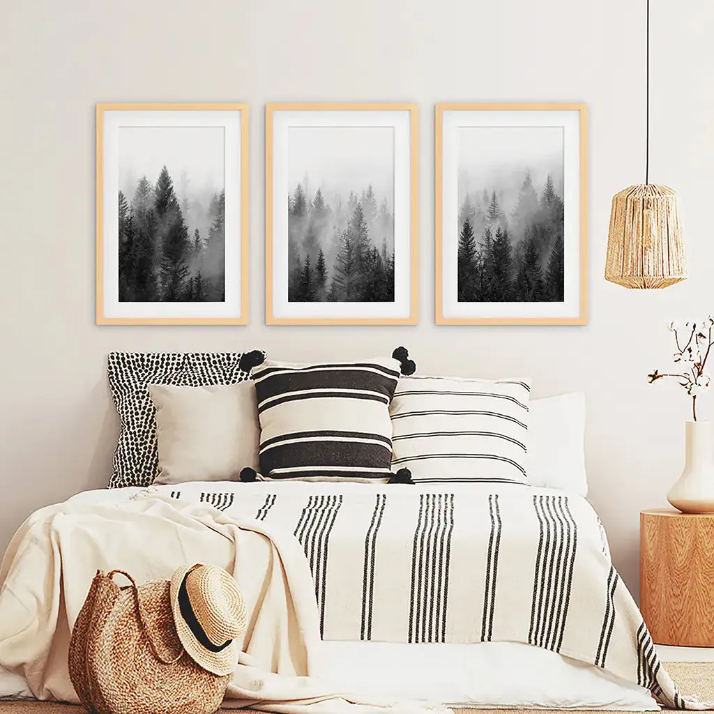 Misty Trees Wall Art. Black White Pine Forest Prints