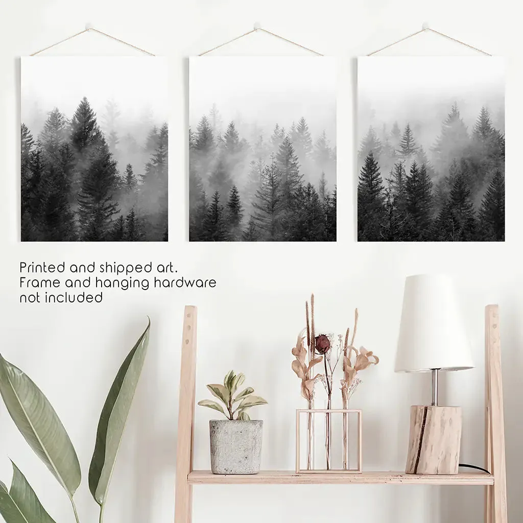 Misty Trees Wall Art. Black White Pine Forest Prints