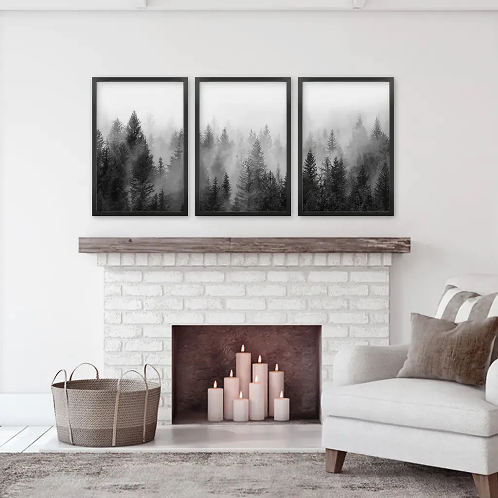 Misty Trees Wall Art. Black White Pine Forest Prints