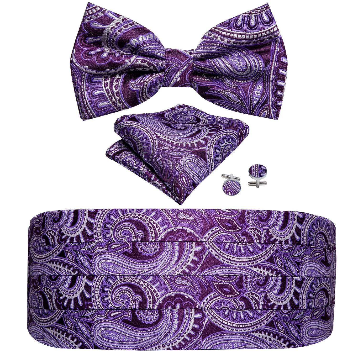 Paisley Silk Cummerbund Set