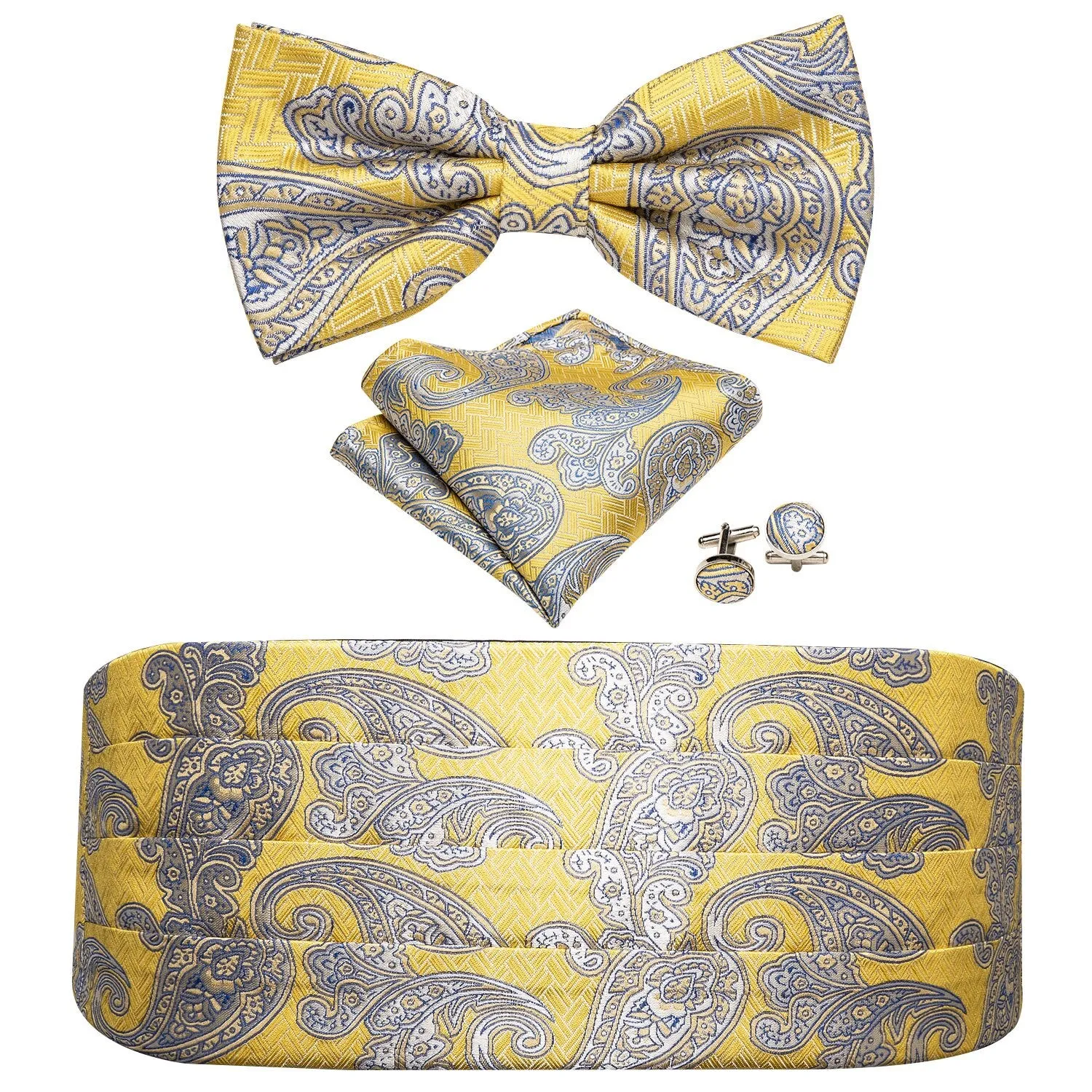 Paisley Silk Cummerbund Set