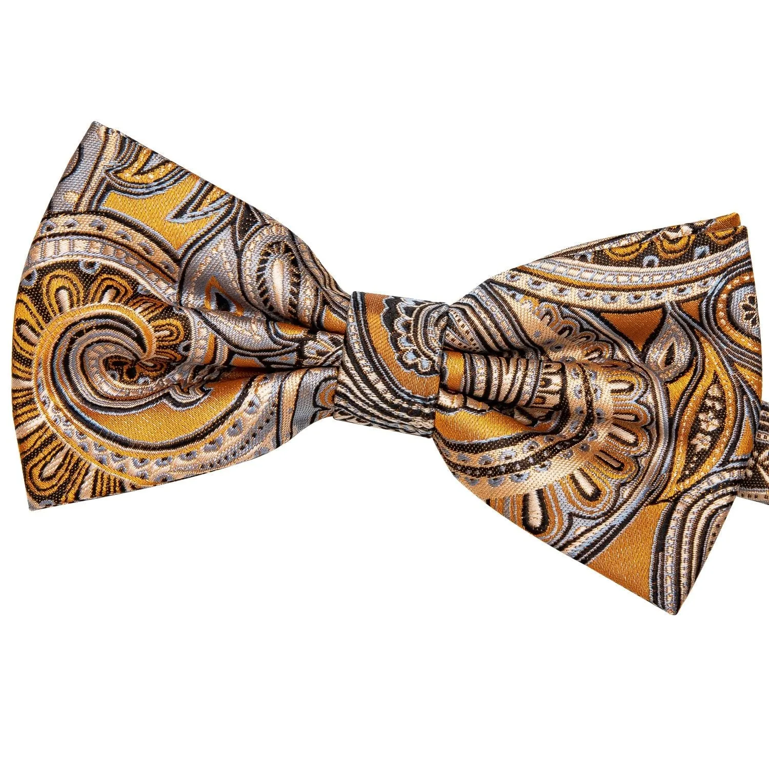 Paisley Silk Cummerbund Set