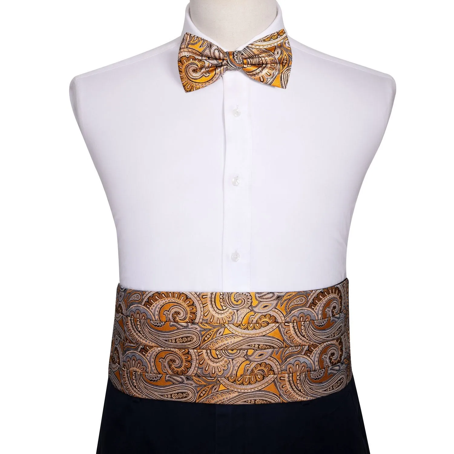 Paisley Silk Cummerbund Set