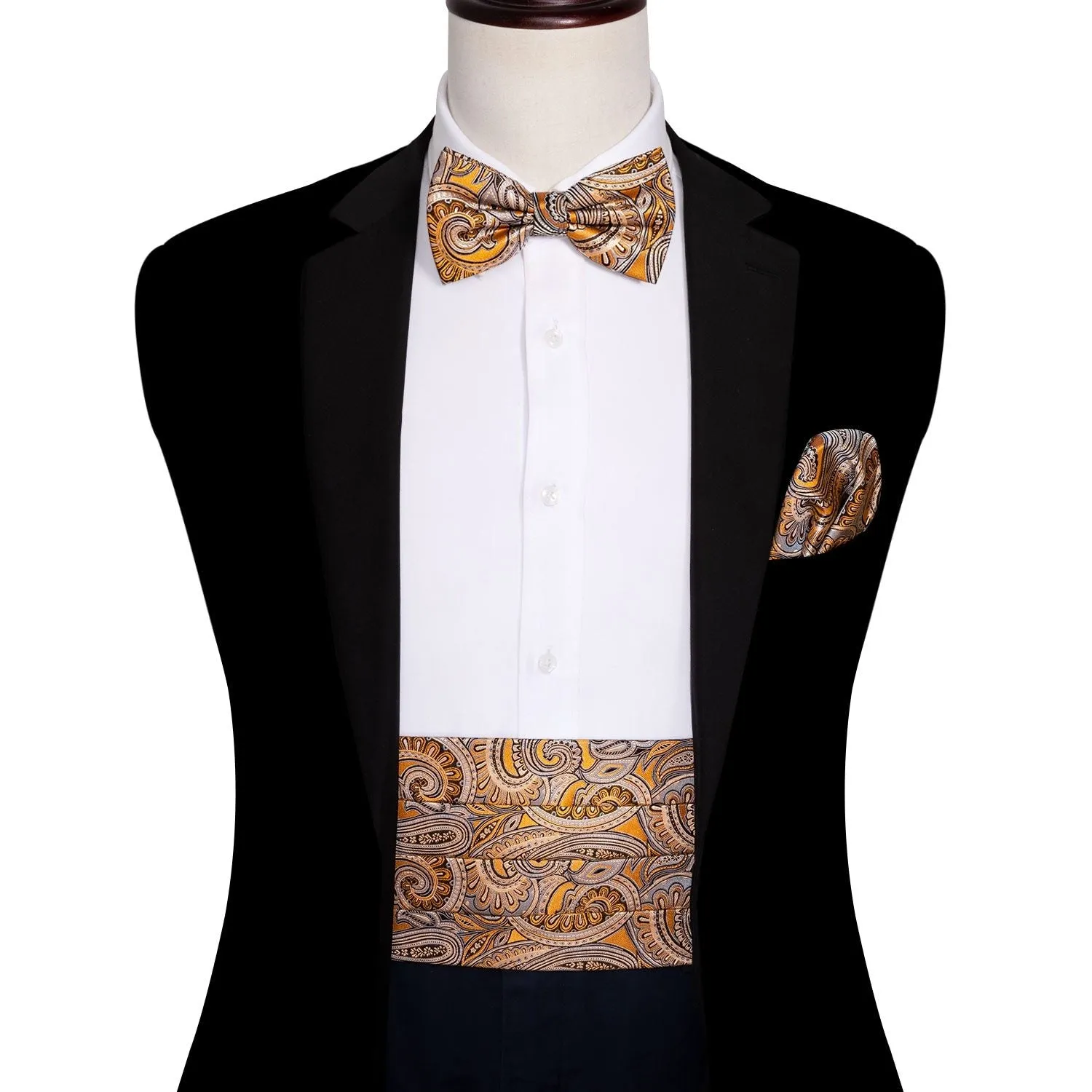 Paisley Silk Cummerbund Set