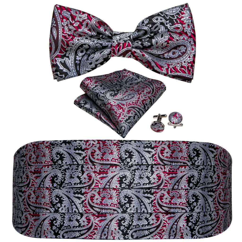 Paisley Silk Cummerbund Set